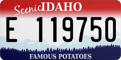 ID license plate E119750