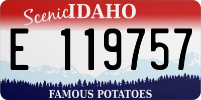 ID license plate E119757