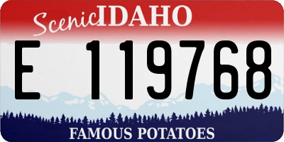 ID license plate E119768