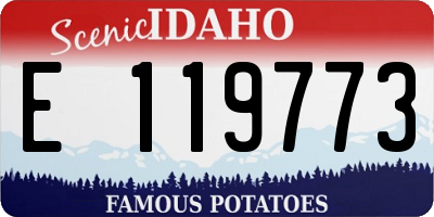 ID license plate E119773