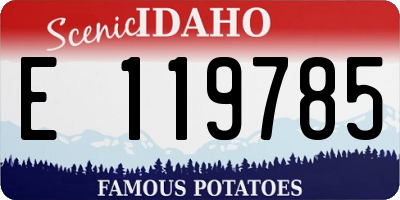 ID license plate E119785
