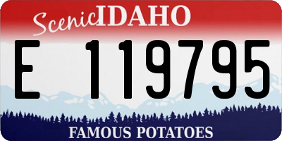 ID license plate E119795