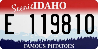 ID license plate E119810