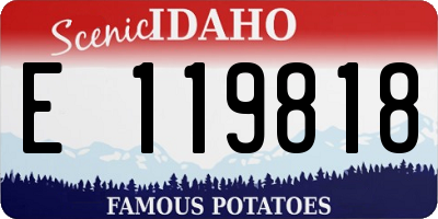 ID license plate E119818