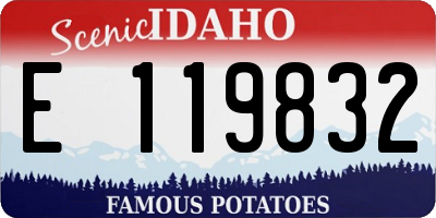 ID license plate E119832