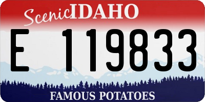 ID license plate E119833