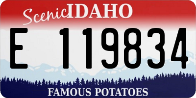 ID license plate E119834