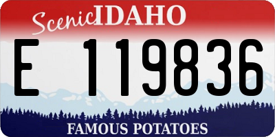 ID license plate E119836