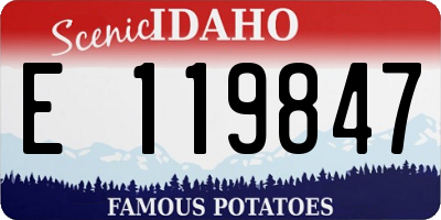 ID license plate E119847