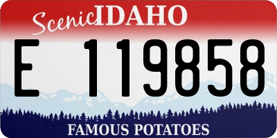 ID license plate E119858