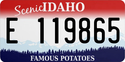 ID license plate E119865