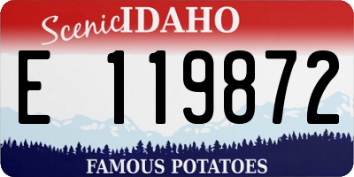 ID license plate E119872