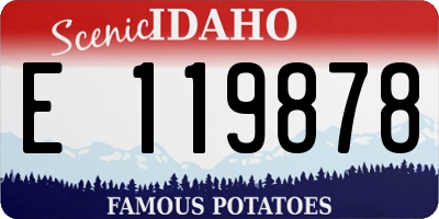 ID license plate E119878