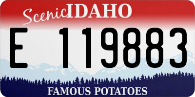 ID license plate E119883
