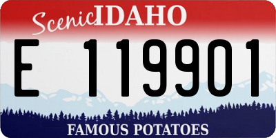 ID license plate E119901