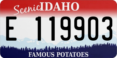 ID license plate E119903