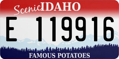 ID license plate E119916