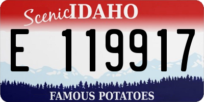 ID license plate E119917