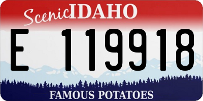 ID license plate E119918