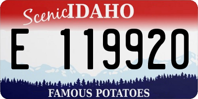 ID license plate E119920