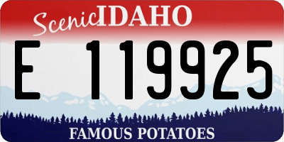 ID license plate E119925