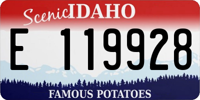 ID license plate E119928