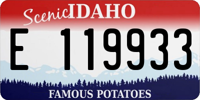 ID license plate E119933