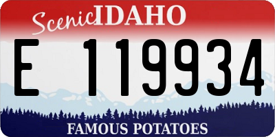 ID license plate E119934
