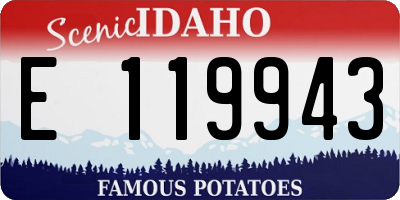 ID license plate E119943