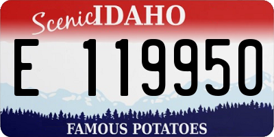 ID license plate E119950