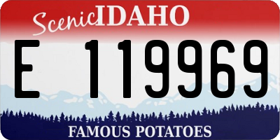 ID license plate E119969