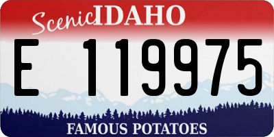 ID license plate E119975