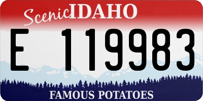 ID license plate E119983