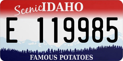 ID license plate E119985