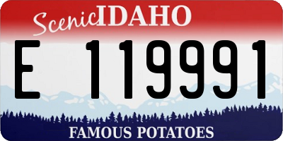 ID license plate E119991