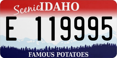 ID license plate E119995