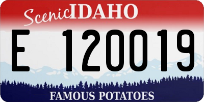 ID license plate E120019