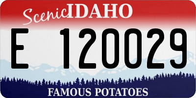 ID license plate E120029