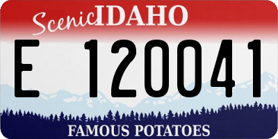 ID license plate E120041