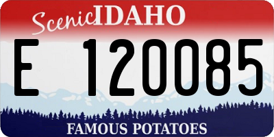 ID license plate E120085