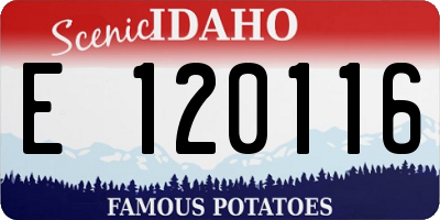 ID license plate E120116