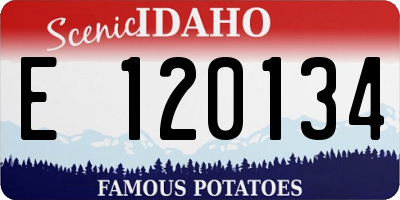 ID license plate E120134