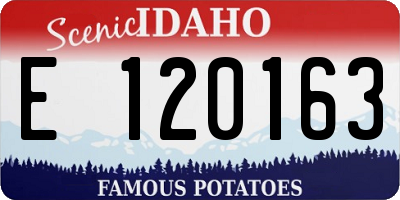 ID license plate E120163
