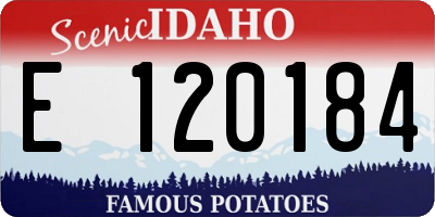ID license plate E120184