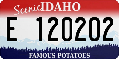 ID license plate E120202