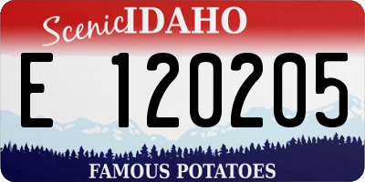 ID license plate E120205