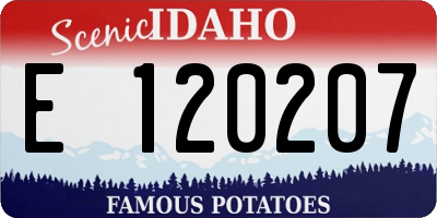 ID license plate E120207