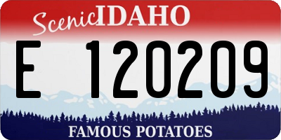 ID license plate E120209