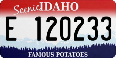 ID license plate E120233