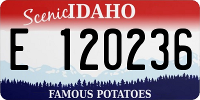 ID license plate E120236